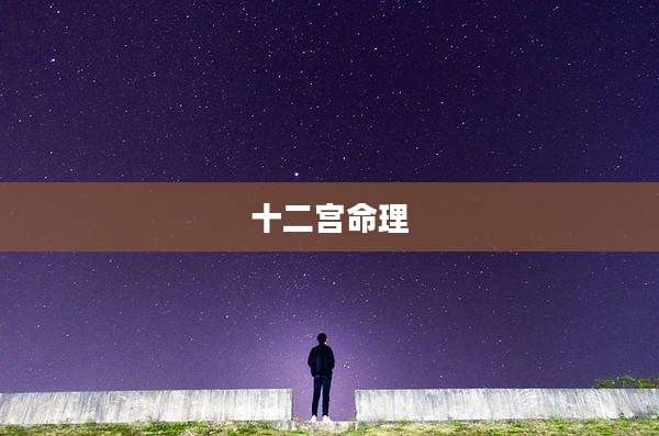 十二宫命理