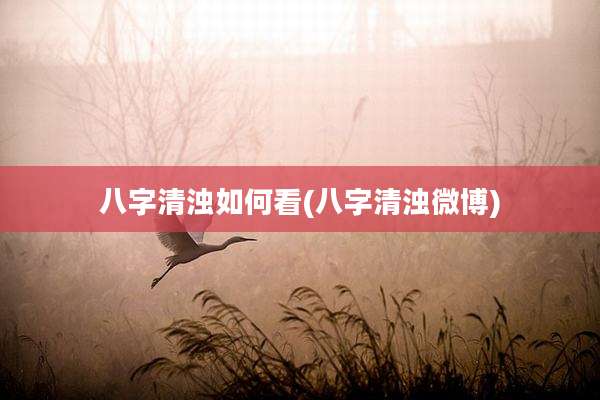 八字清浊如何看(八字清浊微博)