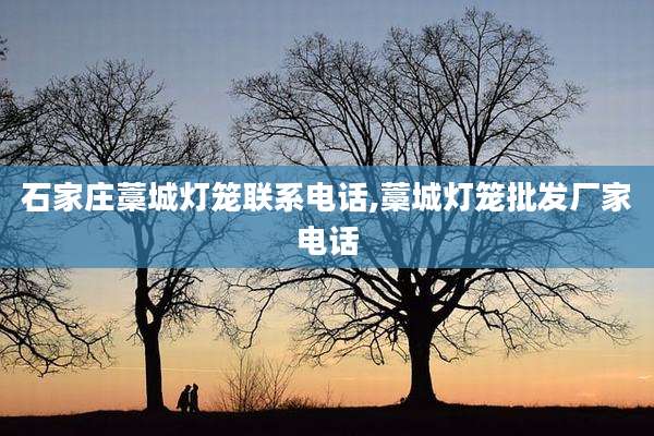 石家庄藁城灯笼联系电话,藁城灯笼批发厂家电话