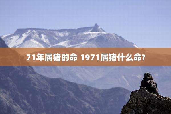71年属猪的命 1971属猪什么命?