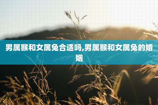 男属猴和女属兔合适吗,男属猴和女属兔的婚姻