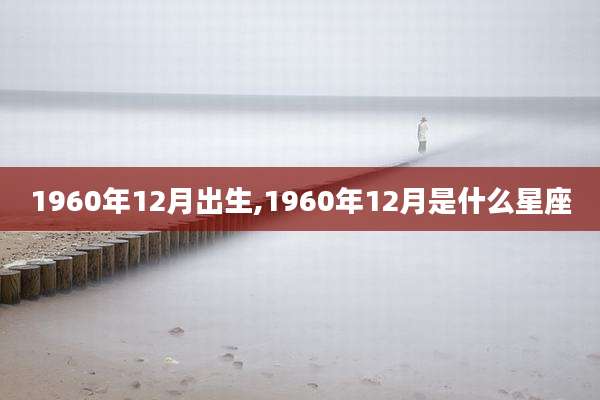1960年12月出生,1960年12月是什么星座