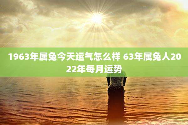 1963年属兔今天运气怎么样 63年属兔人2022年每月运势