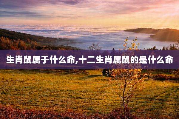 生肖鼠属于什么命,十二生肖属鼠的是什么命