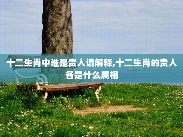 十二生肖中谁是贵人请解释,十二生肖的贵人各是什么属相