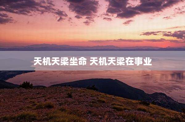 天机天梁坐命 天机天梁在事业