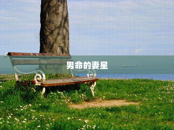 男命的妻星