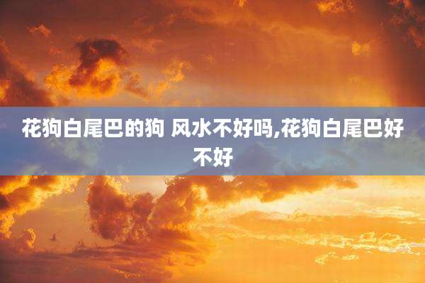 花狗白尾巴的狗 风水不好吗,花狗白尾巴好不好