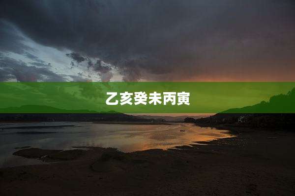 乙亥癸未丙寅