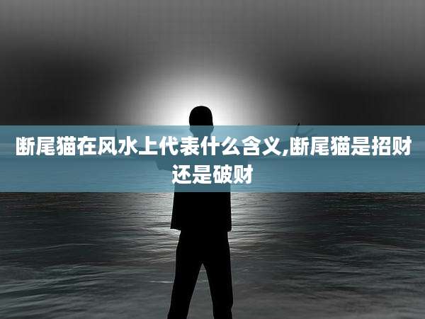 断尾猫在风水上代表什么含义,断尾猫是招财还是破财