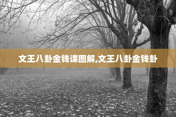 文王八卦金钱课图解,文王八卦金钱卦