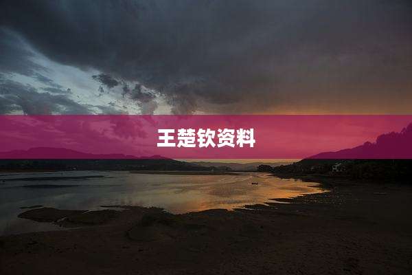 王楚钦资料