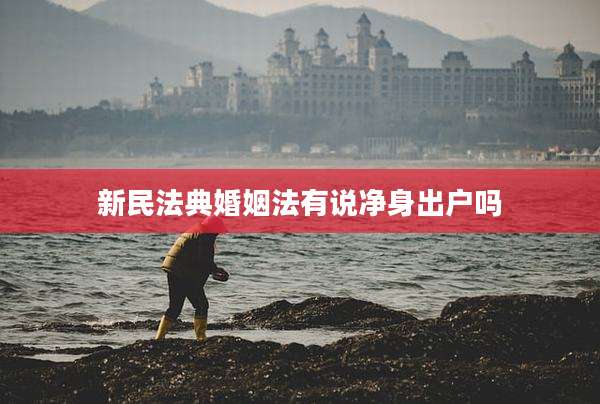 新民法典婚姻法有说净身出户吗