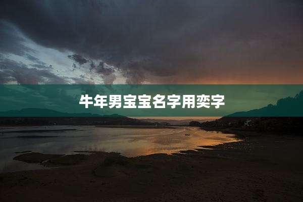 牛年男宝宝名字用奕字