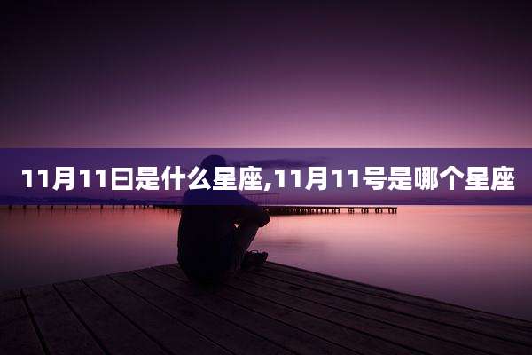 11月11曰是什么星座,11月11号是哪个星座