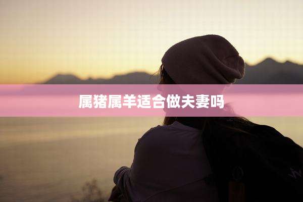 属猪属羊适合做夫妻吗