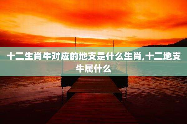 十二生肖牛对应的地支是什么生肖,十二地支牛属什么