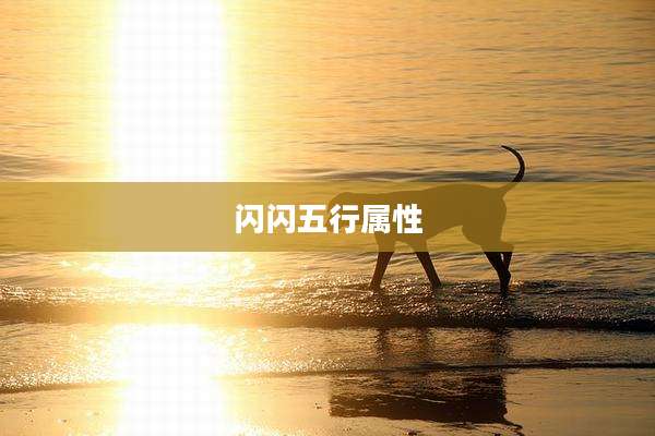 闪闪五行属性