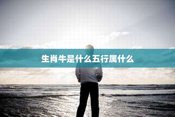 生肖牛是什么五行属什么