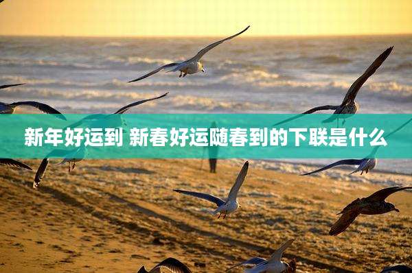 新年好运到 新春好运随春到的下联是什么