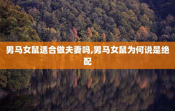 男马女鼠适合做夫妻吗,男马女鼠为何说是绝配