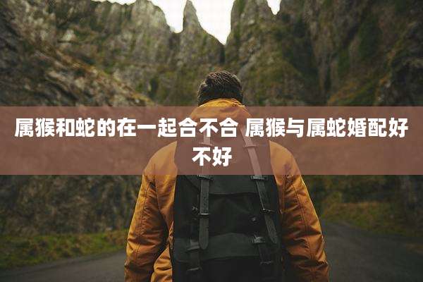属猴和蛇的在一起合不合 属猴与属蛇婚配好不好
