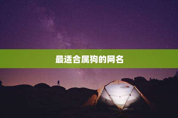 最适合属狗的网名