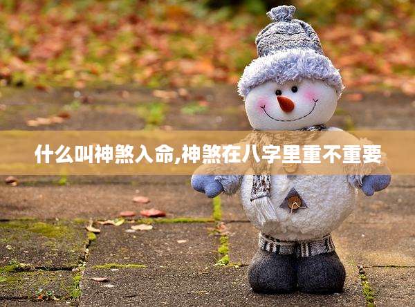 什么叫神煞入命,神煞在八字里重不重要