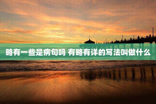 略有一些是病句吗 有略有详的写法叫做什么