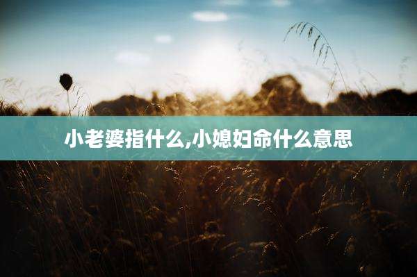 小老婆指什么,小媳妇命什么意思