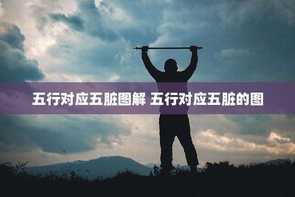 五行对应五脏图解 五行对应五脏的图