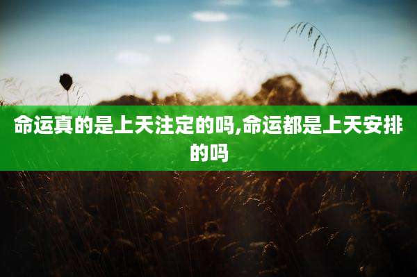 命运真的是上天注定的吗,命运都是上天安排的吗