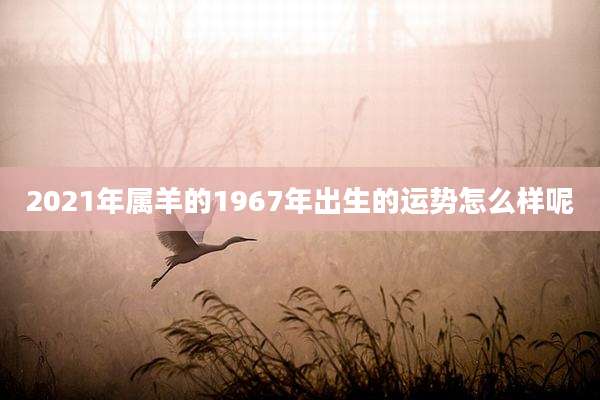 2021年属羊的1967年出生的运势怎么样呢