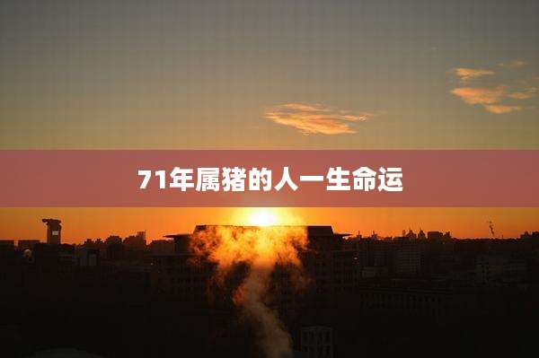 71年属猪的人一生命运