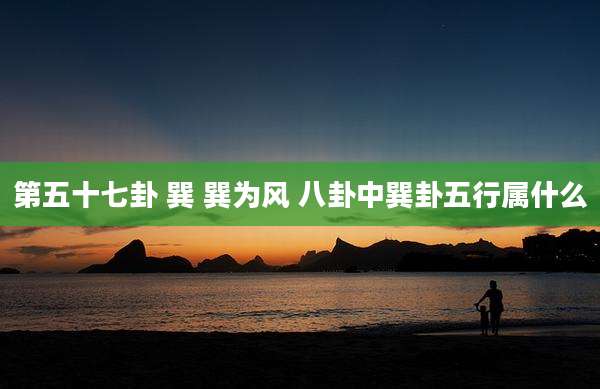 第五十七卦 巽 巽为风 八卦中巽卦五行属什么