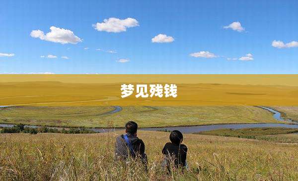 梦见残钱