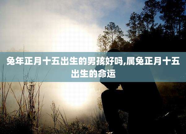 兔年正月十五出生的男孩好吗,属兔正月十五出生的命运