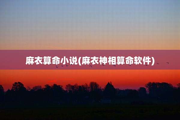 麻衣算命小说(麻衣神相算命软件)