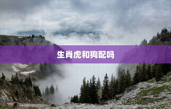 生肖虎和狗配吗
