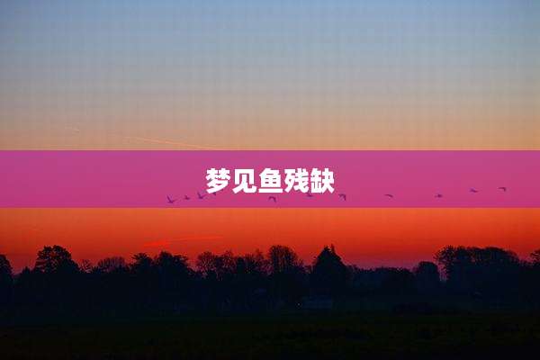 梦见鱼残缺