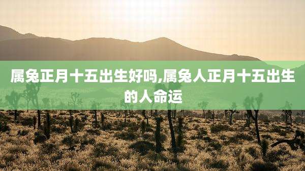 属兔正月十五出生好吗,属兔人正月十五出生的人命运