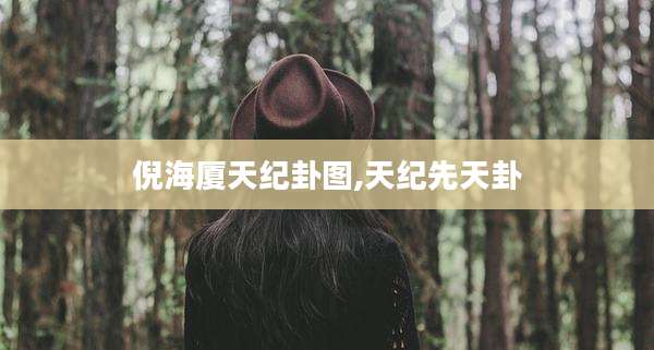 倪海厦天纪卦图,天纪先天卦