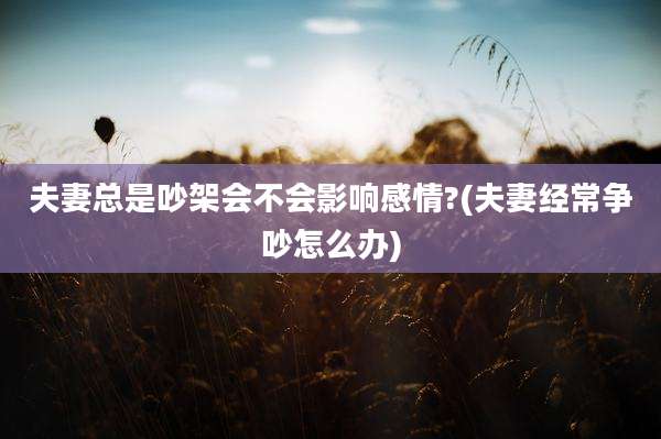 夫妻总是吵架会不会影响感情?(夫妻经常争吵怎么办)