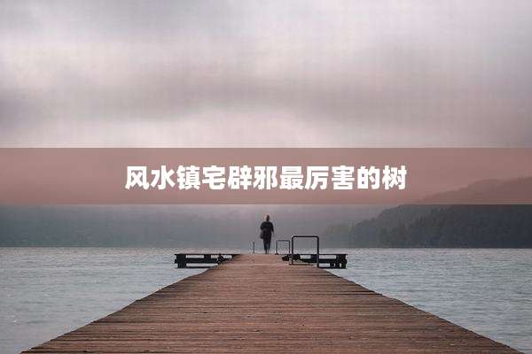 风水镇宅辟邪最厉害的树