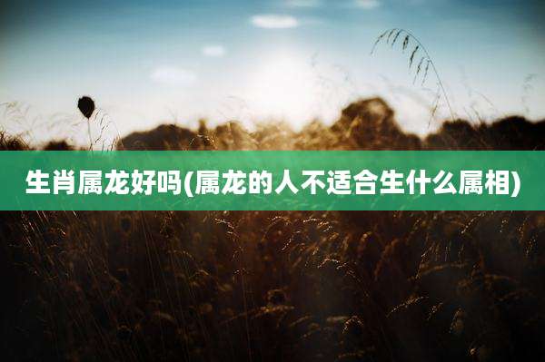 生肖属龙好吗(属龙的人不适合生什么属相)