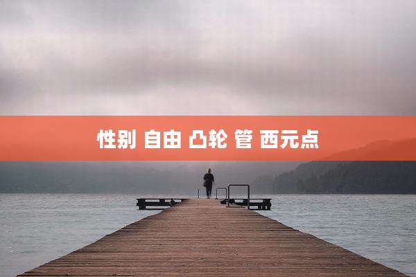 性别 自由 凸轮 管 西元点