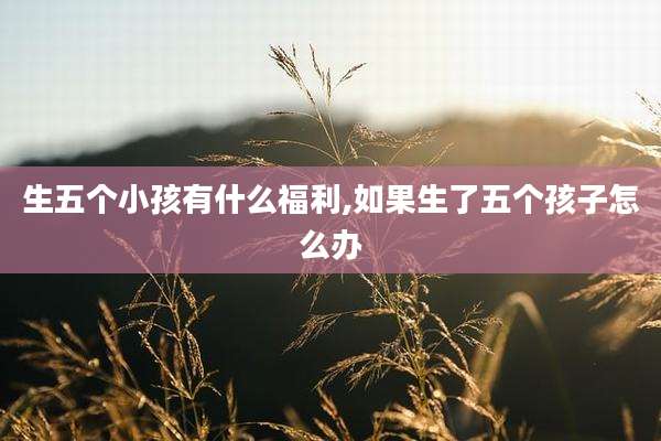 生五个小孩有什么福利,如果生了五个孩子怎么办