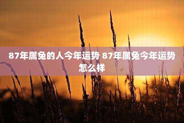 87年属兔的人今年运势 87年属兔今年运势怎么样