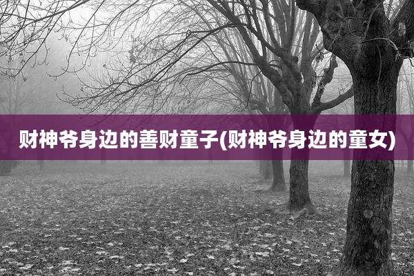财神爷身边的善财童子(财神爷身边的童女)
