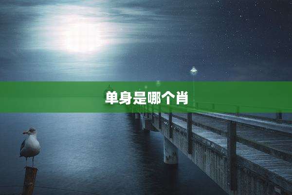 单身是哪个肖